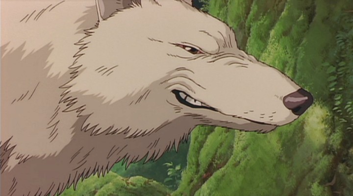 Deutschlands Grosste Prinzessin Mononoke Fanpage Gotter Und Tiere