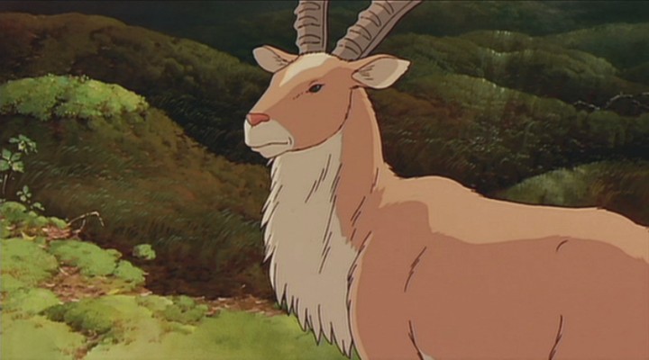Deutschlands Grosste Prinzessin Mononoke Fanpage Gotter Und Tiere